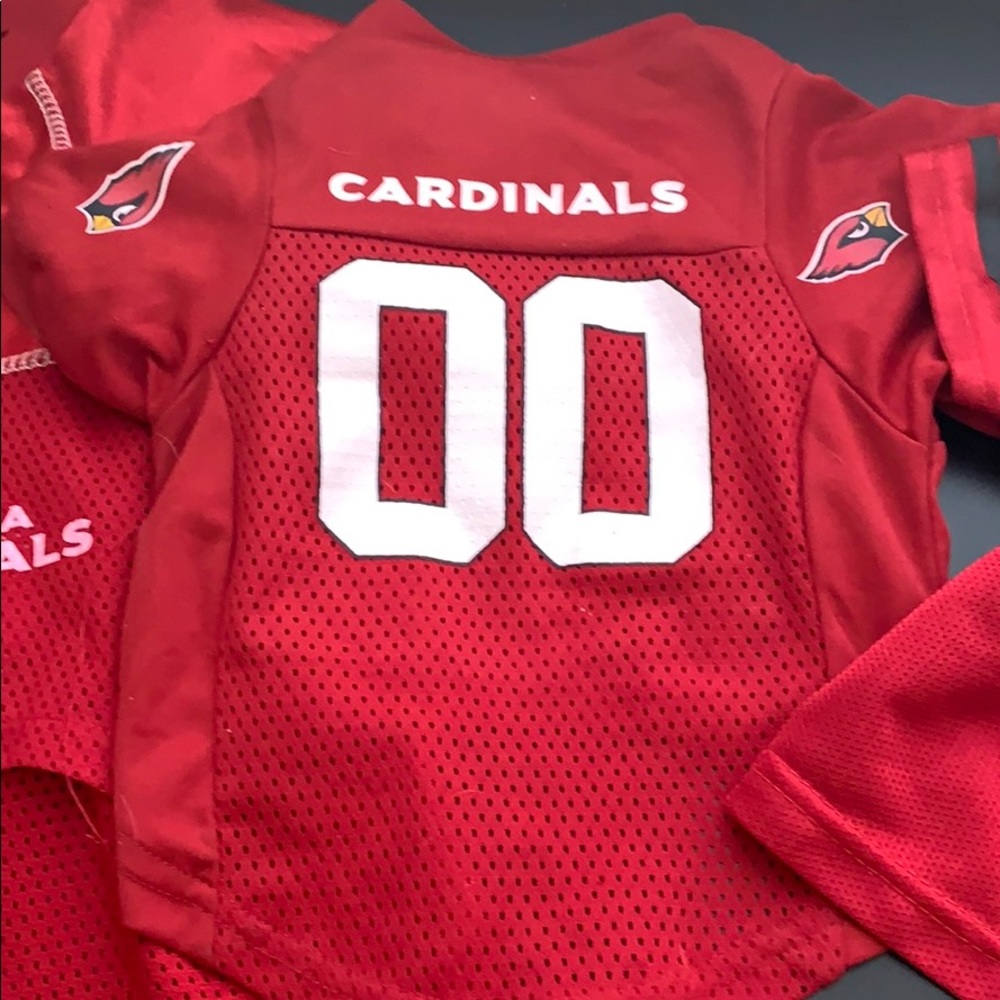 Pet Jerseys